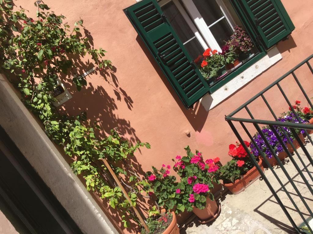 Apartment Grace, Feel At Home - Away From Home Split Extérieur photo